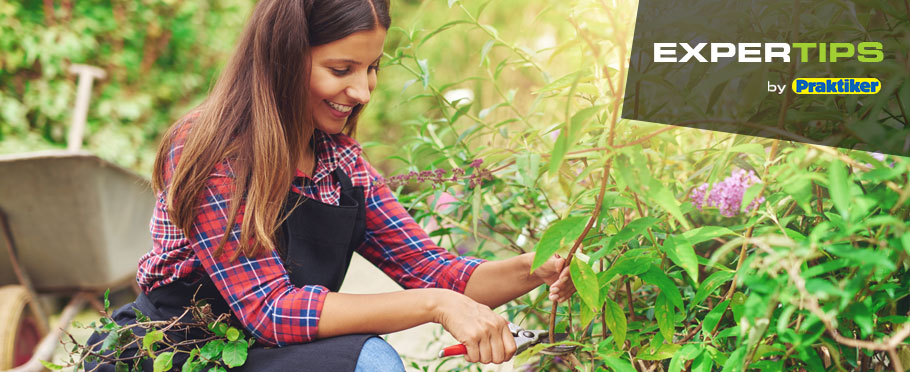 Μάθε 7 tips για να κλαδεύεις σωστά τα φυτά σου, χωρίς να τα «πληγώνεις»!